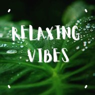 Relaxing Vibes