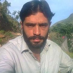 Junaid Ali shah