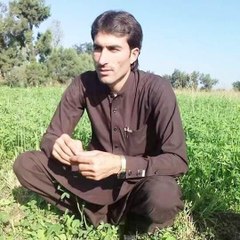Aqal jan Afridi official