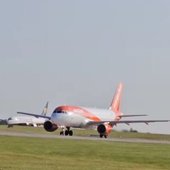 Tranding video