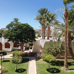 Alexandria