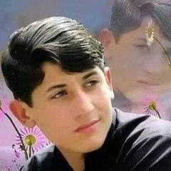bakhtiaralishah49