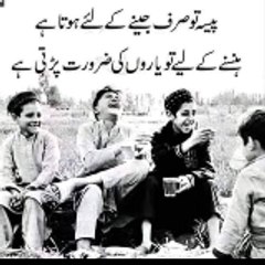 Funny videos