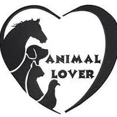 pet collective