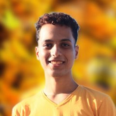 مؤمن احمد علام