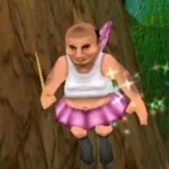 Funny video and entertainmen