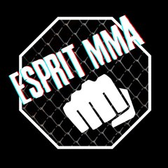 Esprit_MMA