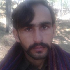 Syed Rizwan Haider Shah Haider