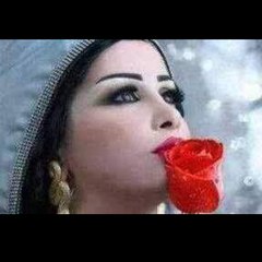 hamzasammar029