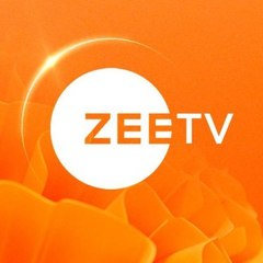 Zee tv movies