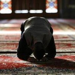 Zain Dar