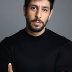 arielamir2013