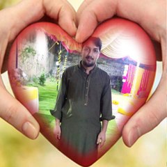 Rashid awan