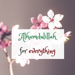 jameelahmed242427