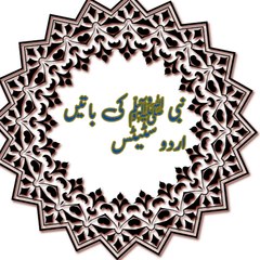 Nabi ki batein urdu status