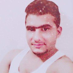 shaibi vlogs