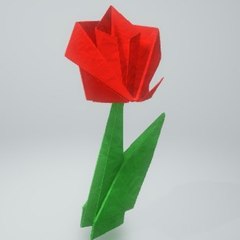 Noor Engineering  Guide