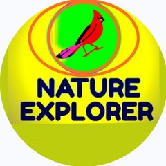 Nature Explorer