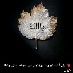 Aqeel Ahmad