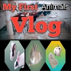 Mr. Animals Vlog