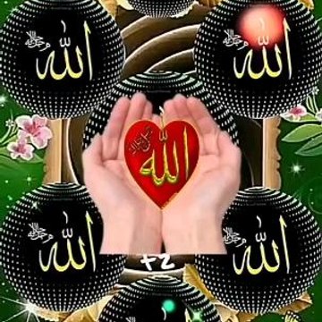Quranik harmany hub