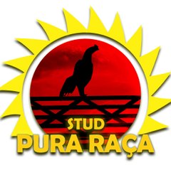 Studio Pura Raça RJ