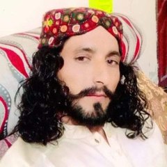 Zindge pardais diDubai