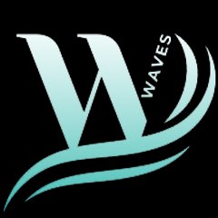 Webinars Wave