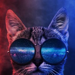 Mr.Tom