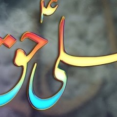 ALI HAQ