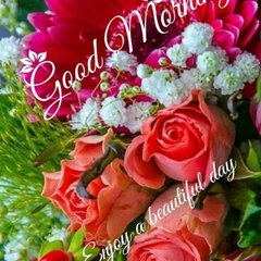 Dil lagie
