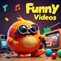 Funny vidieos