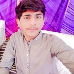 Amir Qazi