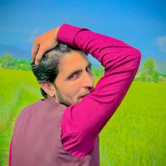 shahzullahkhanbj