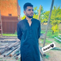 Malik_Ayaz