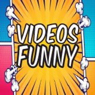 funny videos