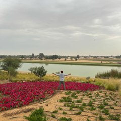 Amazing Videos