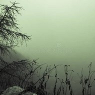 Hafiz Amar online Jaiza Tips