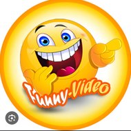 Funny videos