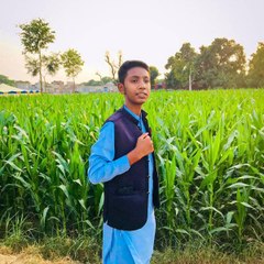 Ehtisham Lazar Vlogs