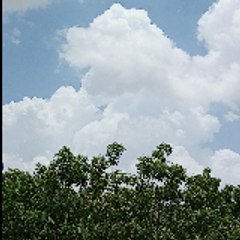 Hum Purany Log