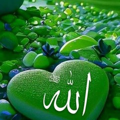 arishma Gondal