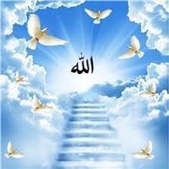 Islamic vdos and photos