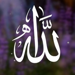 Funny video's