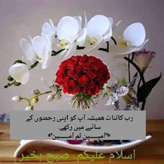 Hussain Rashid