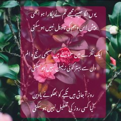 muhammadallah647
