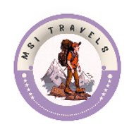 Travel with MSI