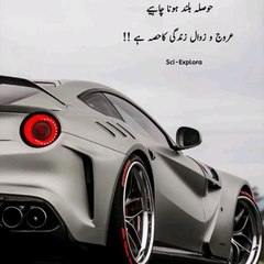 Entertainment  videos