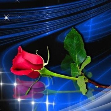 Hamza Amanat