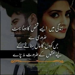 Areeba Husnain